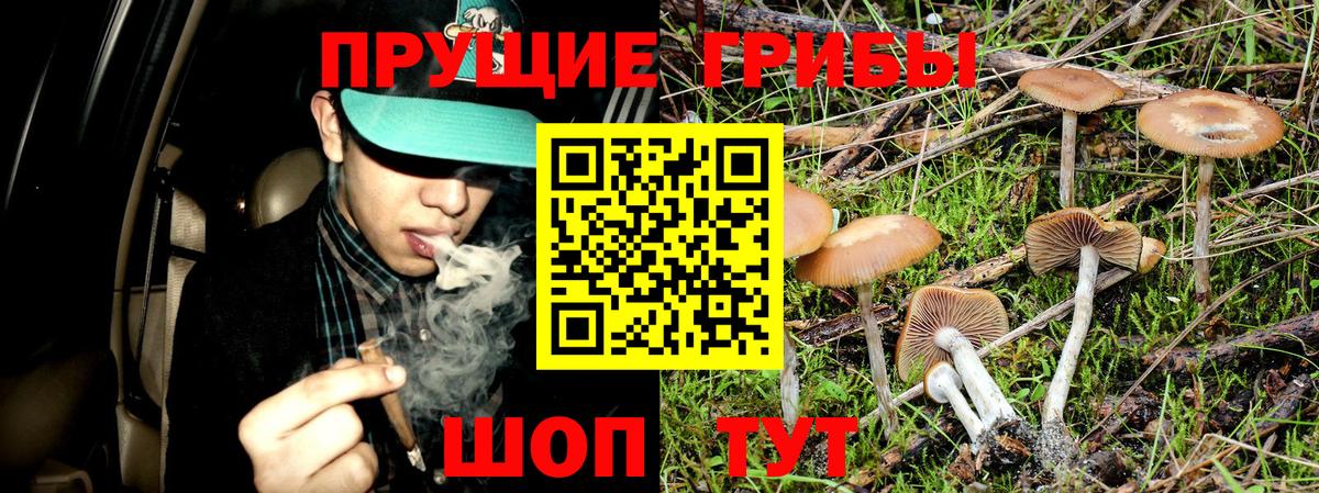 LSD-25 Волхов