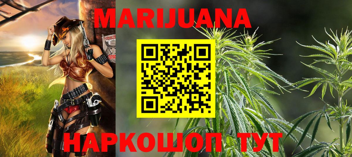 МАРИХУАНА конопля Волхов